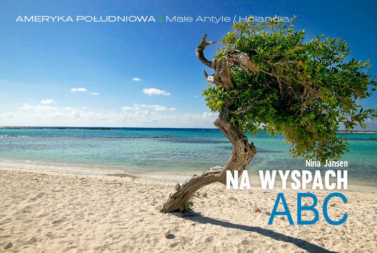 Losowy darmowy artykuł
